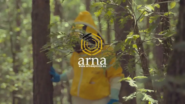 La Dulce Ruta de Aragón: Un Viaje entre Abejas